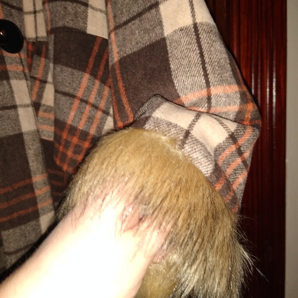 Coat - Picture 4 of 5